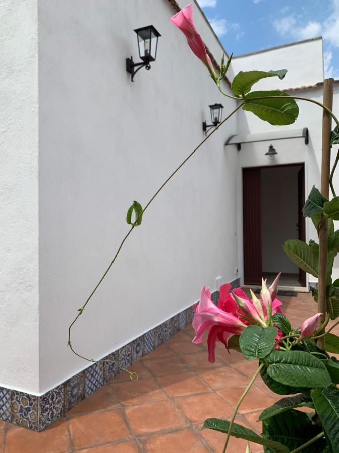 Villa Giuseppina Terracina Eksteriør bilde